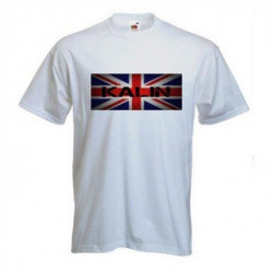 Genetically Engineered Protein Nanomaterials