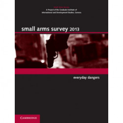 Small Arms Survey 2013: Everyday Dangers