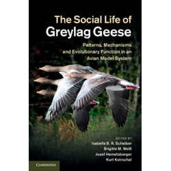 The Social Life of Greylag Geese: Patterns, Mechanisms and Evolutionary Function in an Avian Model System