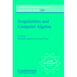 Singularities and Computer Algebra