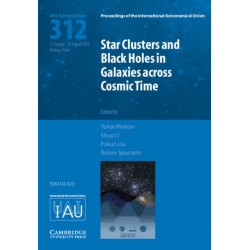 Star Clusters and Black Holes in Galaxies across Cosmic Time (IAU S312)