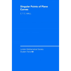 Singular Points of Plane Curves