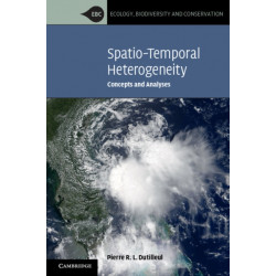 Spatio-Temporal Heterogeneity: Concepts and Analyses