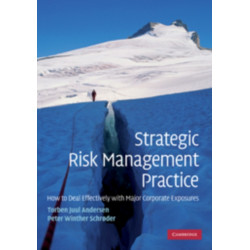 Strategic Risk Management Practice: How to Deal Effectively with Major Corporate Exposures