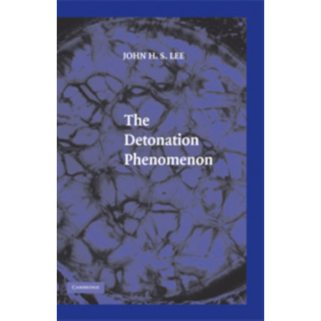 The Detonation Phenomenon