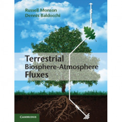 Terrestrial Biosphere-Atmosphere Fluxes