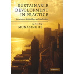 Sustainable Development in Practice: Sustainomics Methodology and Applications