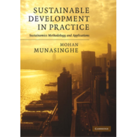 Sustainable Development in Practice: Sustainomics Methodology and Applications