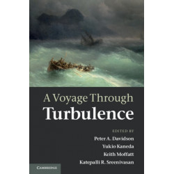 A Voyage Through Turbulence