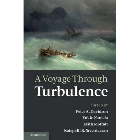 A Voyage Through Turbulence