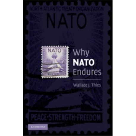 Why NATO Endures