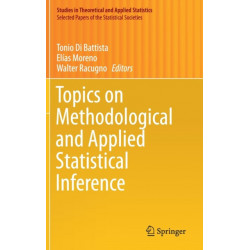 Topics on Methodological and Applied Statistical Inference