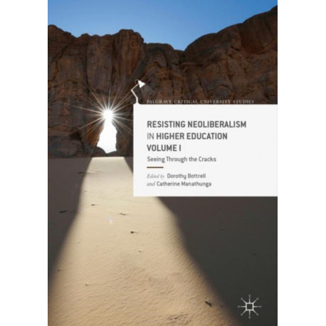 Resisting Neoliberalism in Higher Education Volume I: Seeing Through the Cracks