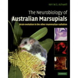 The Neurobiology of Australian Marsupials: Brain Evolution in the Other Mammalian Radiation