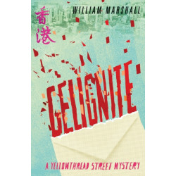 Yellowthread Street: Gelignite (Book 3)