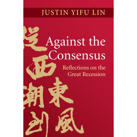 Against the Consensus: Reflections on the Great Recession