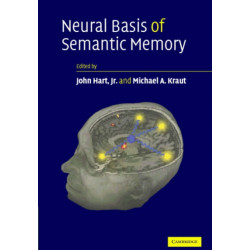 Neural Basis of Semantic Memory