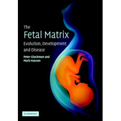 The Fetal Matrix: Evolution, Development and Disease