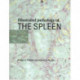 Illustrated Pathology of the Spleen