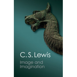 Image and Imagination: Essays and Reviews