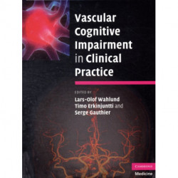 Vascular Cognitive Impairment in Clinical Practice