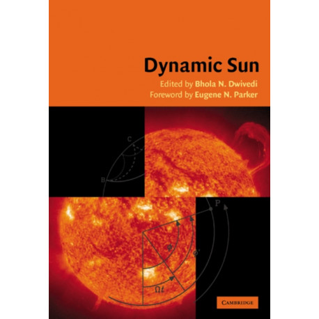 Dynamic Sun
