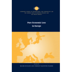 Pure Economic Loss in Europe