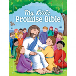 My Little Promise Bible