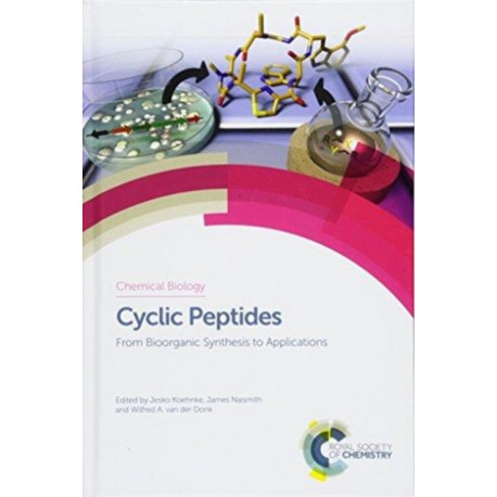 Cyclic Peptides: From Bioorganic Synthesis to Applications