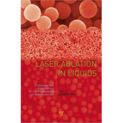 Laser Ablation in Liquids: Principles and Applications in the Preparation of Nanomaterials