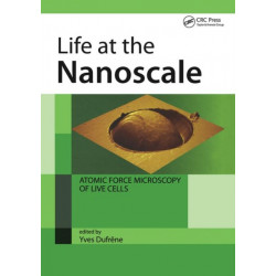 Life at the Nanoscale: Atomic Force Microscopy of Live Cells