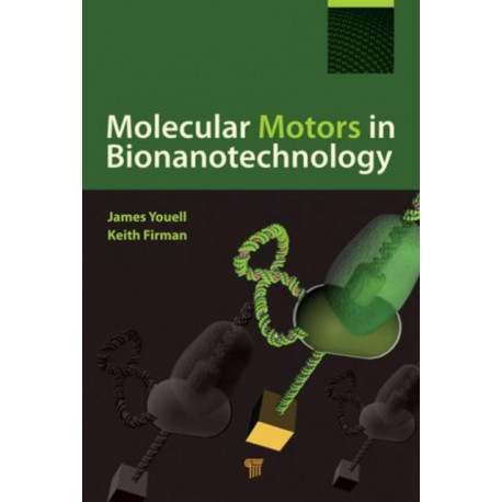Molecular Motors in Bionanotechnology