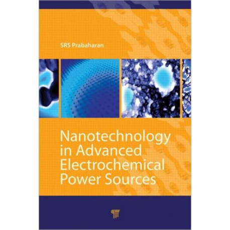Nanotechnology in Advanced Electrochemical Power Sources