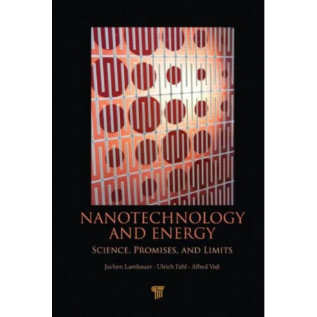 Nanotechnology and Energy: Science, Promises, and Limits