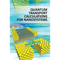 Quantum Transport Calculations for Nanosystems