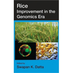 Rice Improvement in the Genomics Era