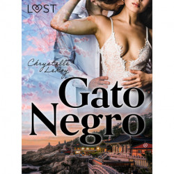 Gato Negro