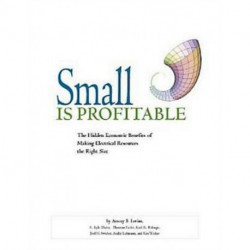 Small is Profitable: The Hidden Economic Benefits of Making Electrical Resources the Right Size