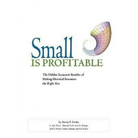 Small is Profitable: The Hidden Economic Benefits of Making Electrical Resources the Right Size