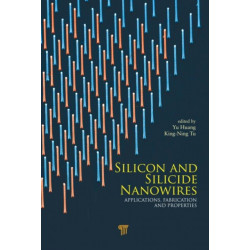 Silicon and Silicide Nanowires: Applications, Fabrication, and Properties