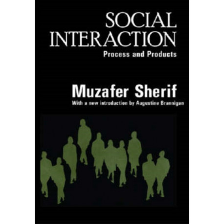 Social Interaction: Process and Products