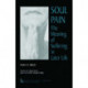 Soul Pain: The Meaning of Suffering in Later Life