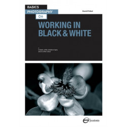 Working in Black & White