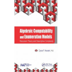 Algebraic Computability and Enumeration Models: Recursion Theory and Descriptive Complexity