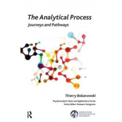 The Analytical Process: Journeys and Pathways