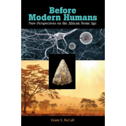 Before Modern Humans: New Perspectives on the African Stone Age