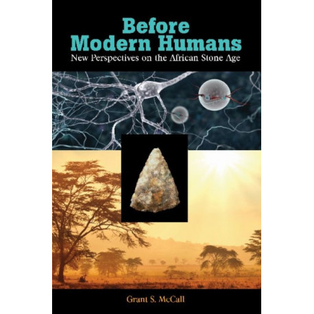 Before Modern Humans: New Perspectives on the African Stone Age