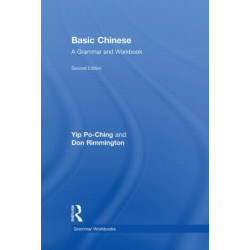 Basic Chinese: A Grammar and Workbook