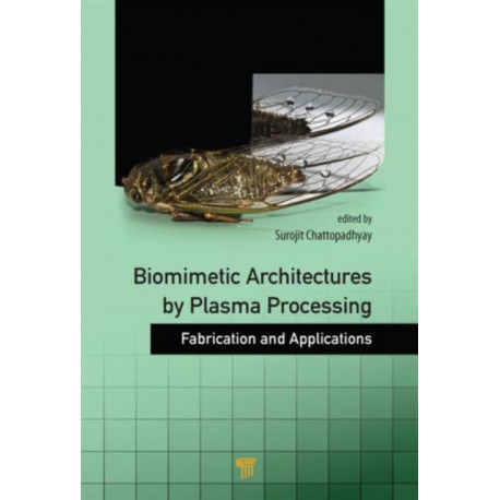 Biomimetic Architectures by Plasma Processing: Fabrication and Applications