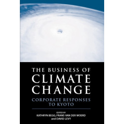 The Business of Climate Change: Corporate Responses to Kyoto